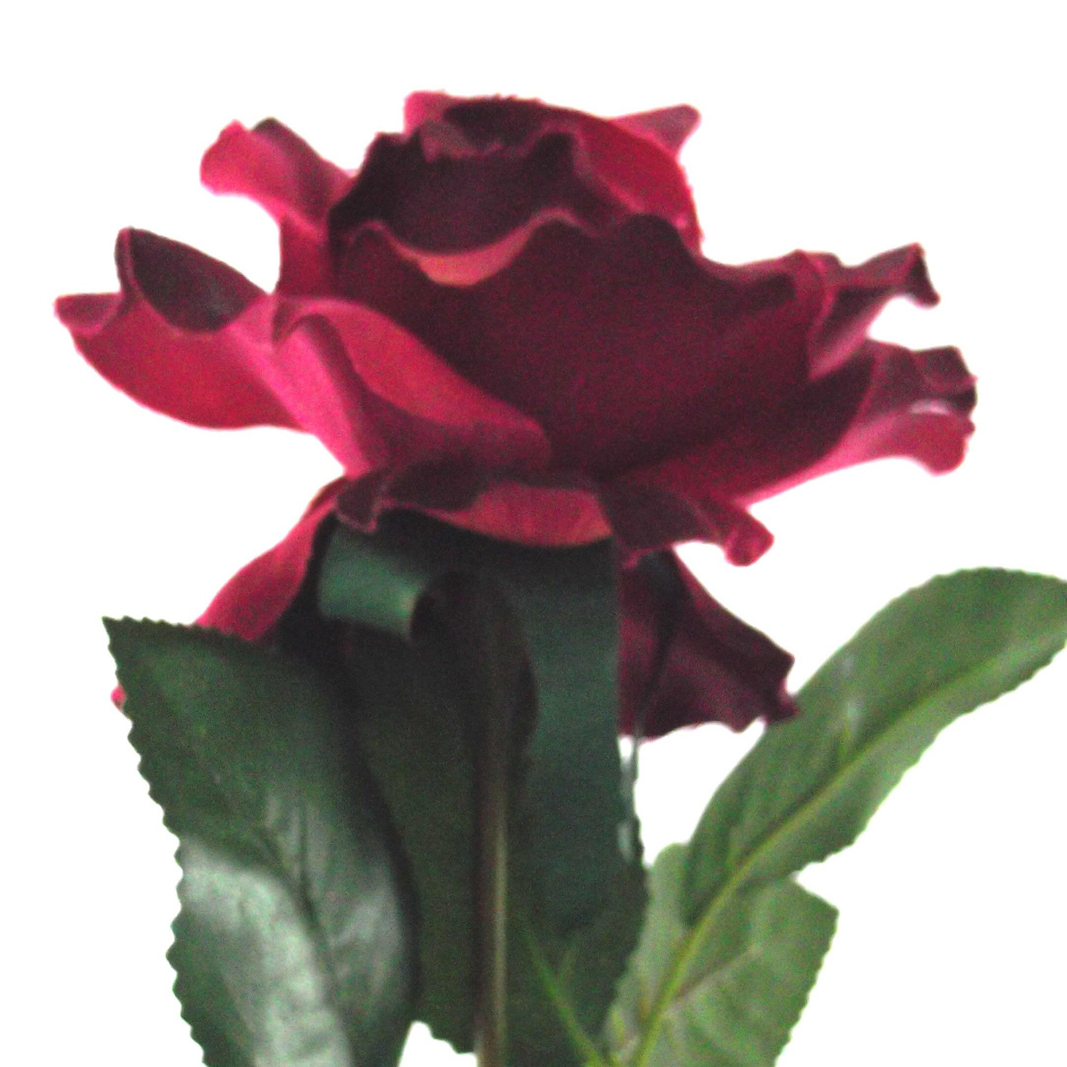 Artificial Silk Premium Rose Medium Single Stem