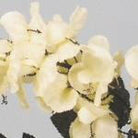 Artificial Silk Spring Bell