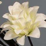 Artificial Silk Dragon Flowers