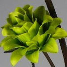 Artificial Silk Dragon Flowers