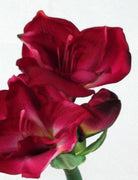 Artificial Queen Amaryllis (Real Touch)