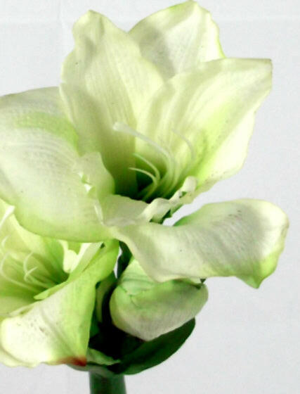 Artificial Queen Amaryllis (Real Touch)