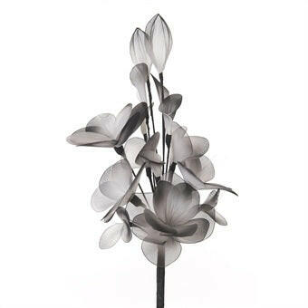 Artificial Lotus Gossamer Flower Spray in A Shiny Black Ceramic Decor Vase
