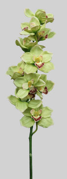 Artificial Cymbidium Orchid (Real Touch)
