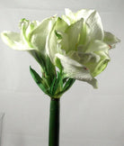 Artificial Queen Amaryllis (Real Touch)