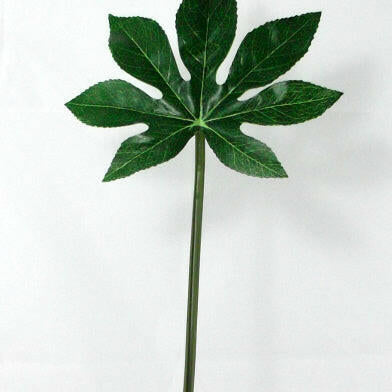 Artificial Silk Aralia Leaf