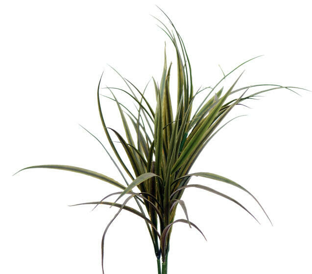 Artificial Small Grass Grain Sorghum Bush – JustArtificial