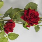 ArtificialOpen  Silk Supreme English Rose Garland