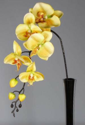 Artificial Silk Moth Orchid Flowers