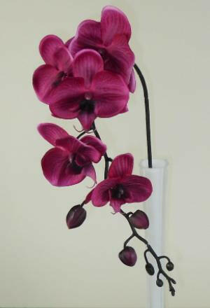 Artificial Silk Moth Orchid Flowers