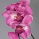 Artificial Silk Moth Orchid Flowers