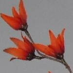 Artificial Silk Blossom Flower Spray Single Stem