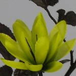 Artificial Silk Water Lily Single Stem, Mini
