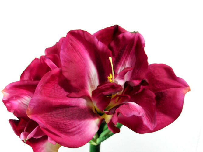 Artificial Queen Amaryllis (Real Touch)