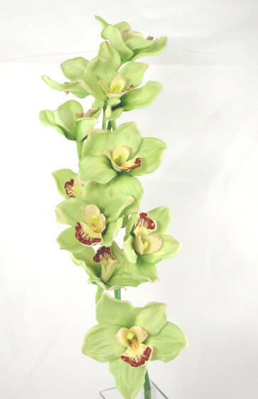 Artificial Cymbidium Orchid (Real Touch)