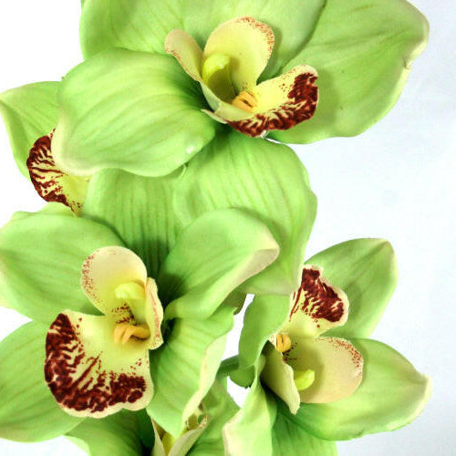 Artificial Cymbidium Orchid (Real Touch)