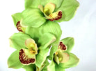 Artificial Cymbidium Orchid (Real Touch)