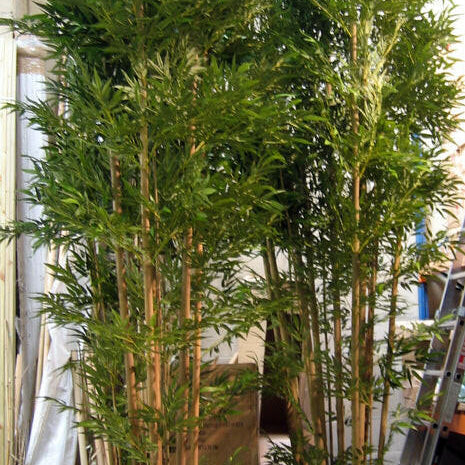 Showing our large hand built 13.5ft/400cm/4m and 15ft/450cm/4.5m Artificial Bamboo Trees