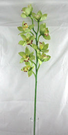 Artificial Cymbidium Orchid (Real Touch)