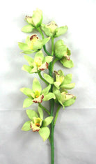 Artificial Cymbidium Orchid (Real Touch)