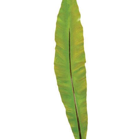 Artificial Asplenium Leaf