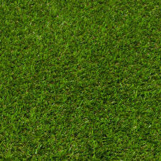 Artificial Eden Lawn Grass