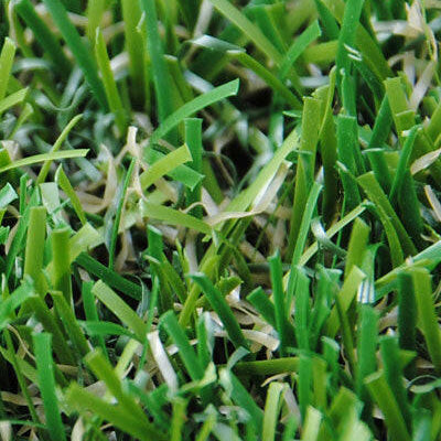 Artificial Omneo Lawn Grass