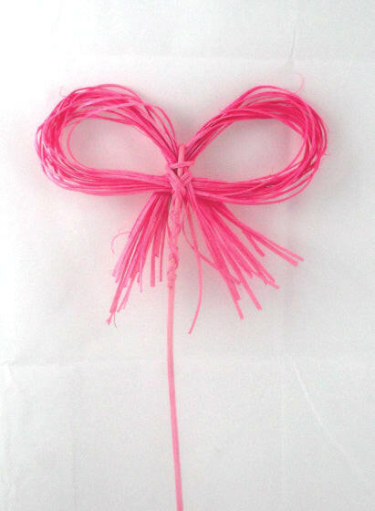 Raffia Bow