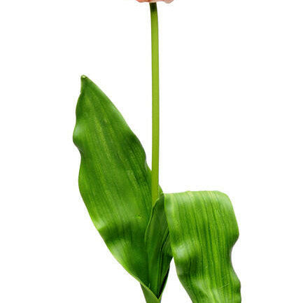 Artificial Silk Tulip Spray Single Stem