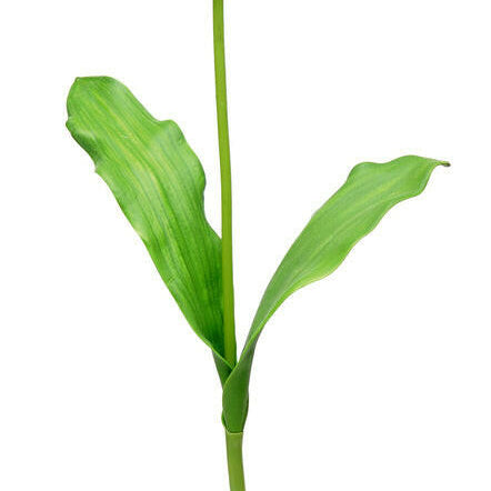 Artificial Silk Tulip Spray Single Stem