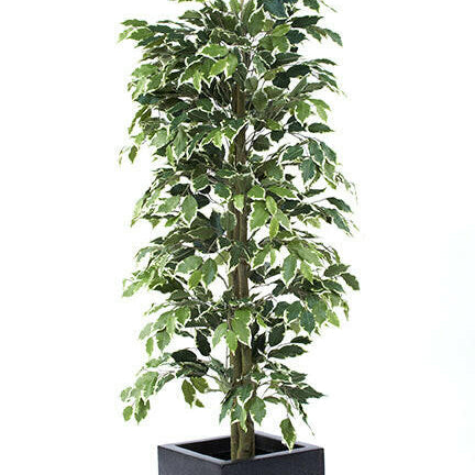 Artificial Silk Ficus Cane Tree FR