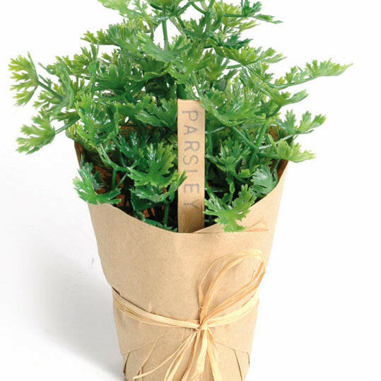 Artificial Plastic Parsley Pot wrapped in paper