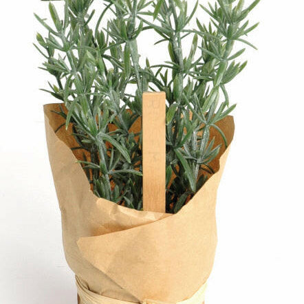 Artificial Plastic Rosemary Pot wrapped in paper
