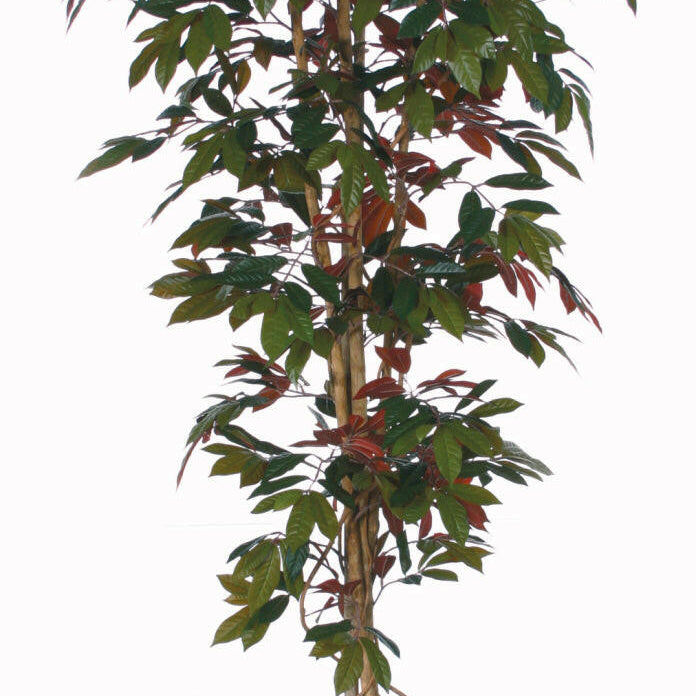 Artificial Capensia Deluxe Liana Tree IFR