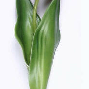 Artificial Real Touch Diamond Tulip Single Stem