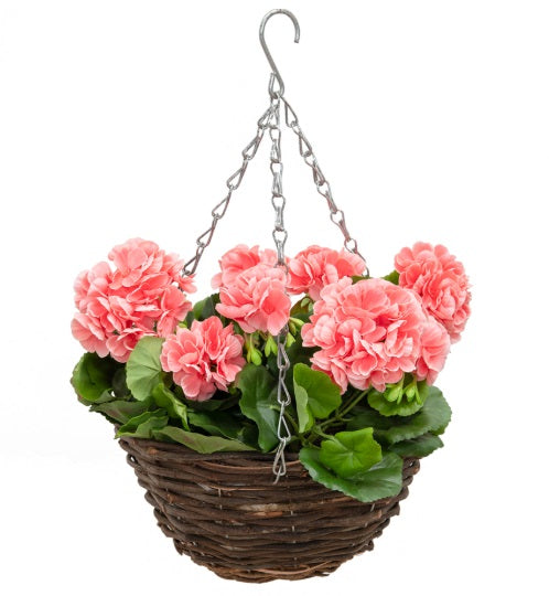 Hanging basket with pink flowers on a white background