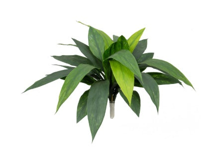Artificial Dracaena Plant UV