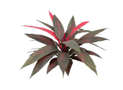 Artificial Dracaena Plant UV