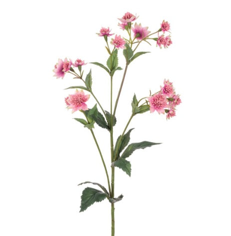 Artificial Silk Eco Astrantia