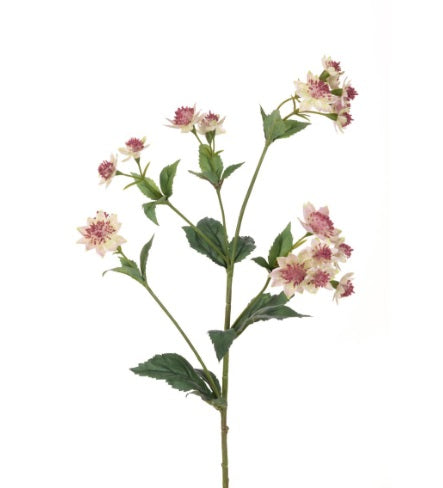 Artificial Silk Eco Astrantia