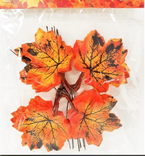 Autumn Decorative Leaves