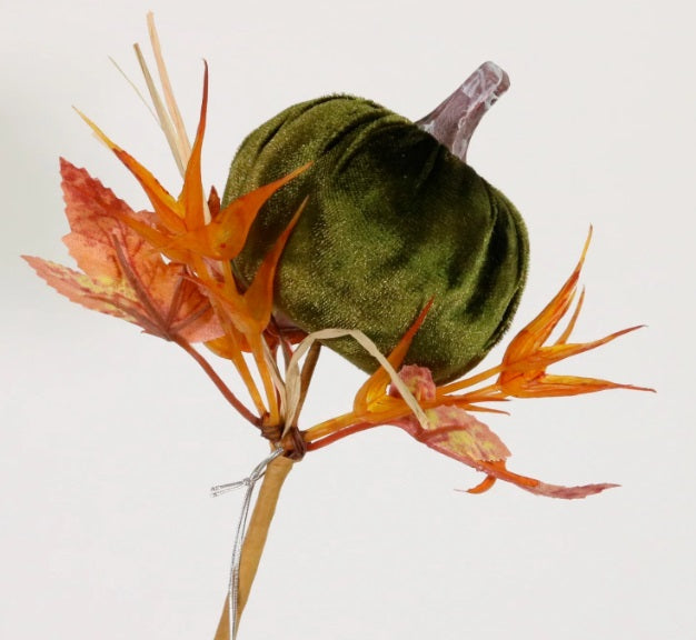 Autumn Wild Velvet Pumpkin (Medium)