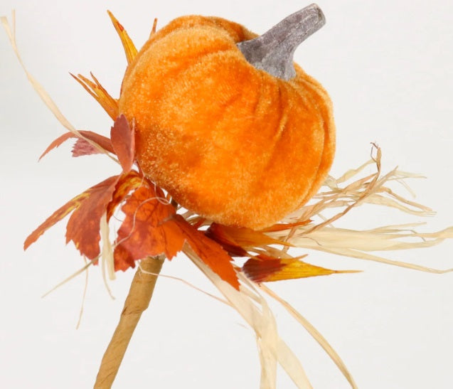 Autumn Wild Velvet Pumpkin (Medium)