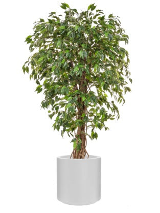 Artificial Silk Ficus Liana Tree
