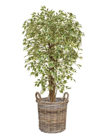 Artificial Silk Ficus Liana Tree