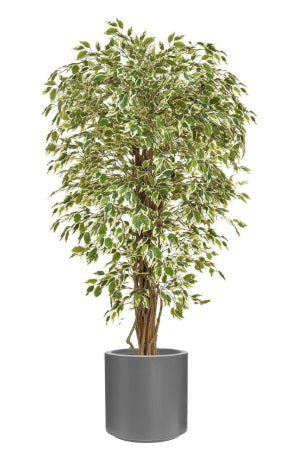 Artificial Silk Ficus Liana Tree