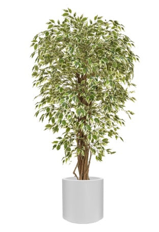 Artificial Silk Ficus Liana Tree