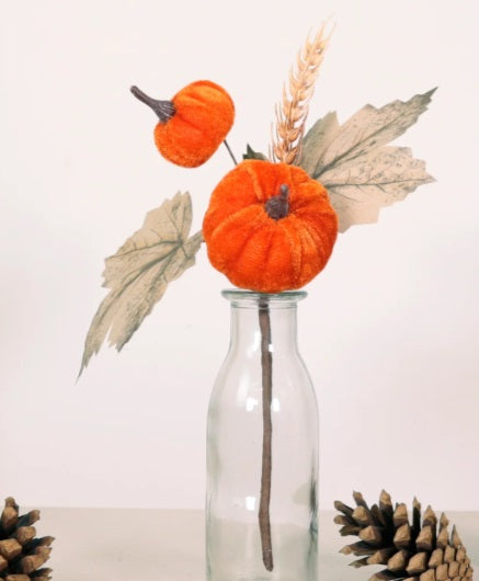 Autumn Wild Velvet Pumpkin