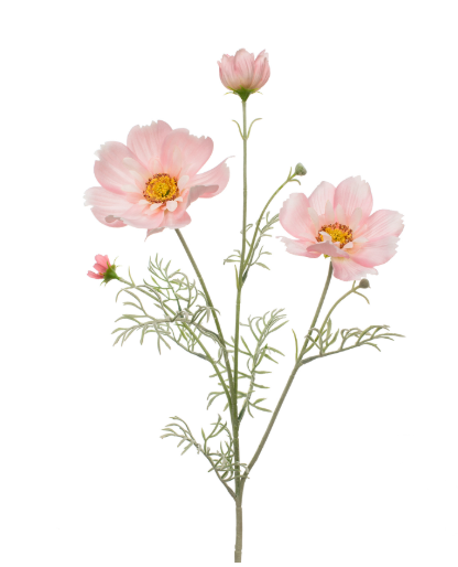 Artificial Silk Cosmos
