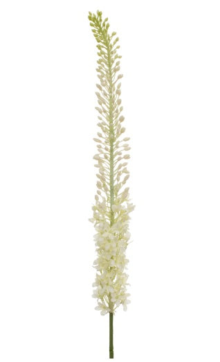 Artificial Silk Eremurus